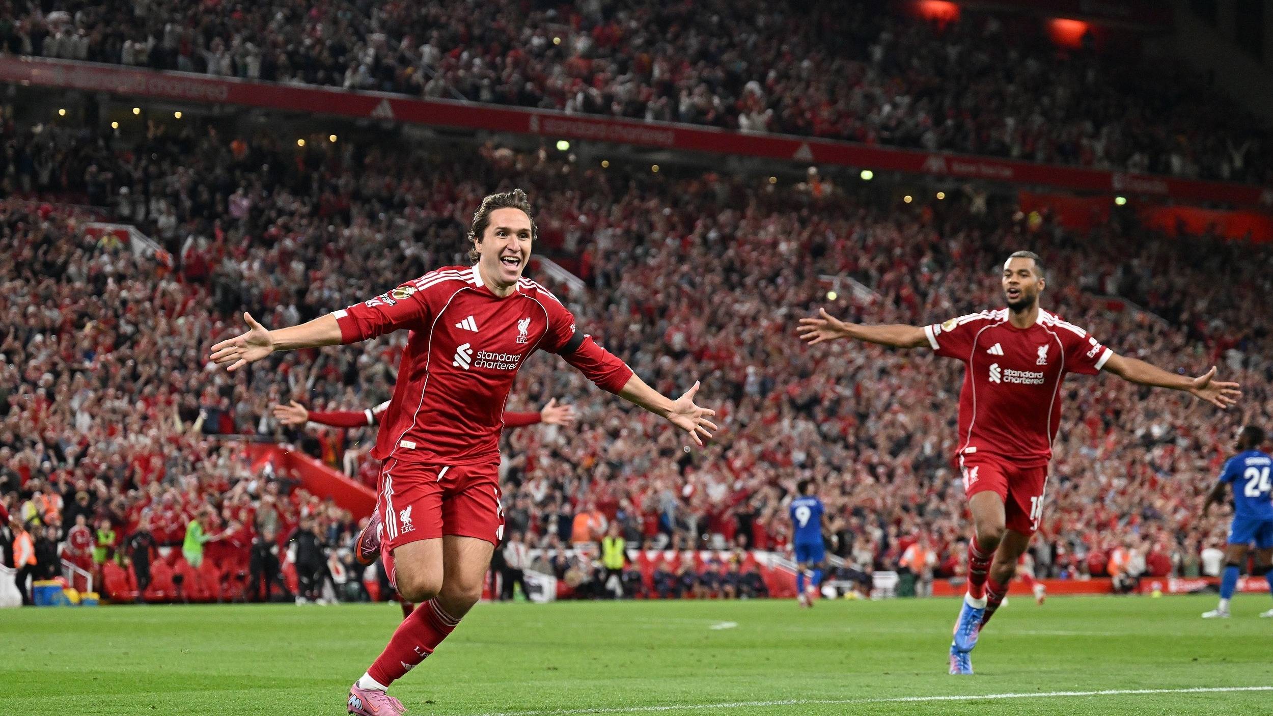 队引入了 队引入了